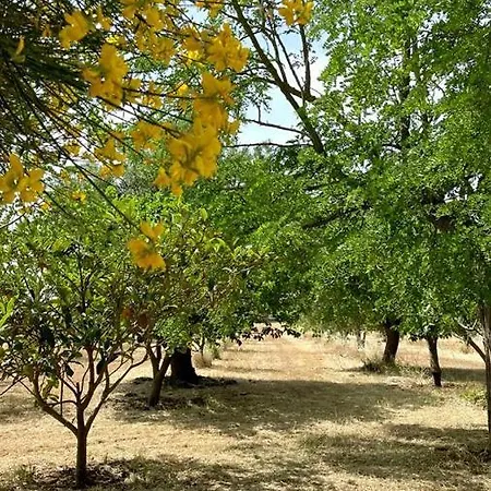 Nyaraló Masseria Elefante *