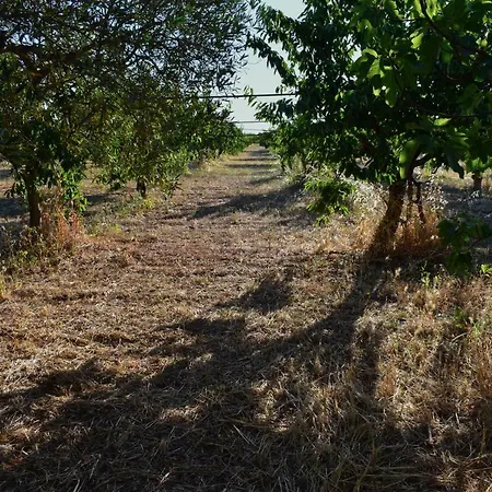 Casa vacanze Masseria Elefante