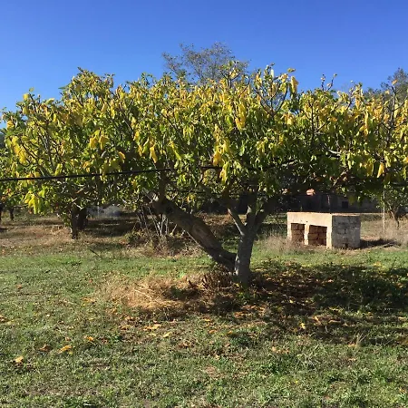 Masseria Elefante Dom wakacyjny